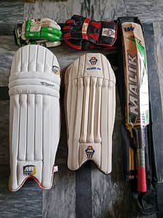 Hard Ball Cricket Kit New