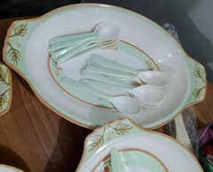 New Plastic Dinner set DMW Dove melamine ware