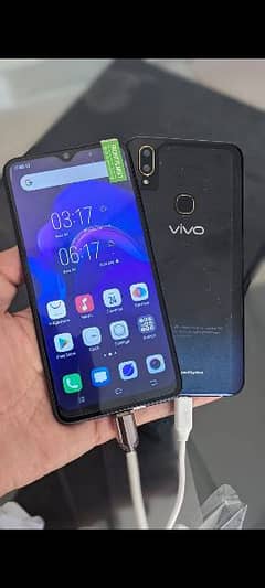 Vivo