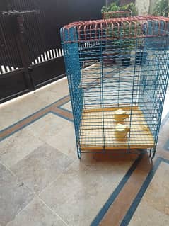 birds cage