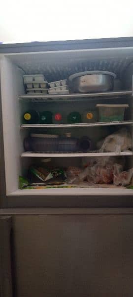 PEL Fridge 1