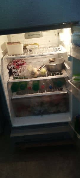 PEL Fridge 3