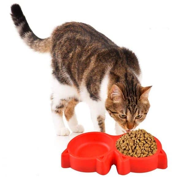 Cat Shaped Double Food Bowl Pet Plastic Food Bowl pack 2 1