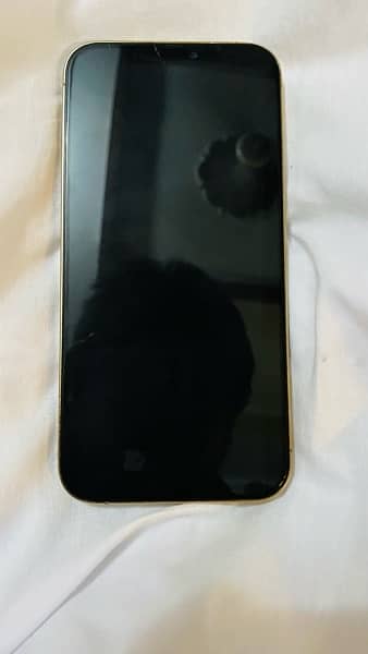 iPhone 12 Pro Max 256 gb pta approved 2