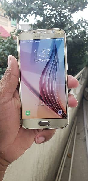 S6 Gold Beauty NON PTAc clear panel 10