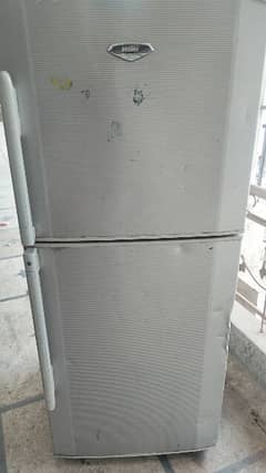 Haier fridge