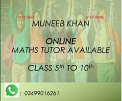 Online Maths Tutor Available