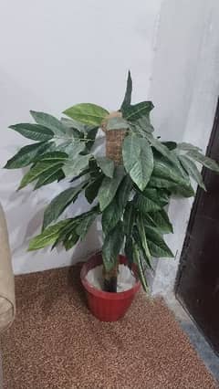 2 piece set artificial plants for sale