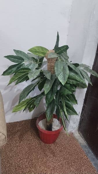 2 piece set artificial plants for sale 0