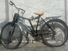 Full Big Size Cycle For Sale