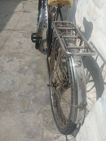 Full Big Size Cycle For Sale 2