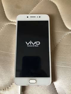 vivo