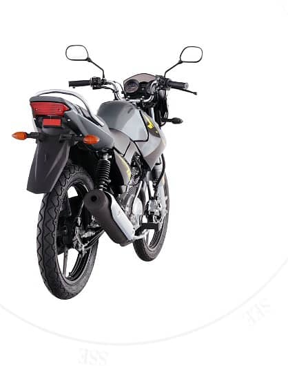 Yamaha YBR 125 2024 1