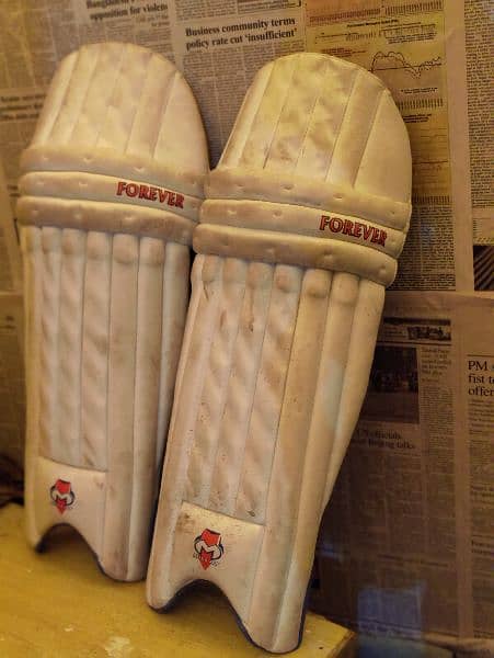 professional hard ball cricket kit 2