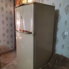 waves Full size fridge with perfect working condition