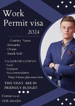 Work permit visa