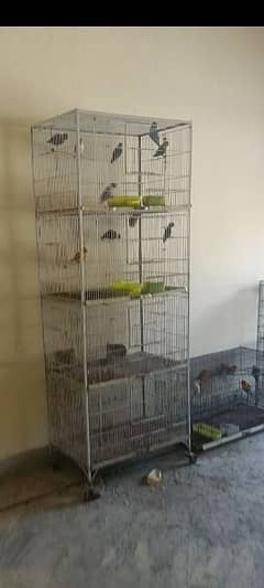 4 portion big cage available. .