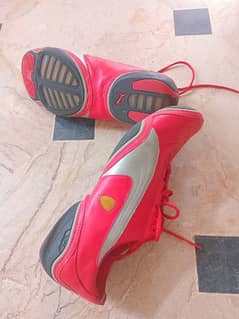 Ferrari Puma Sports Shoes