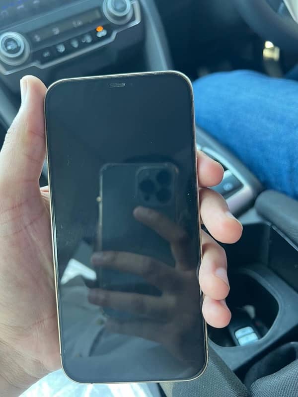 iphone 12 pro max 256gb 4