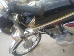 brand new 125  full lush 03054691468 no cansasion for money