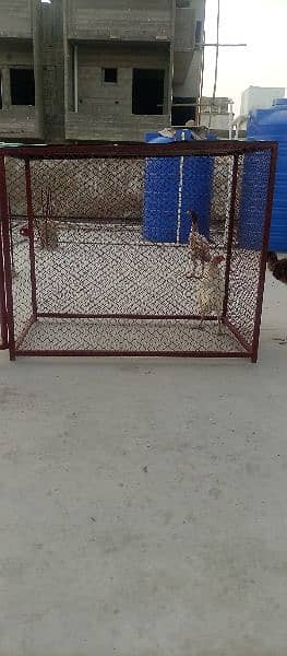 iron cage for sale 1