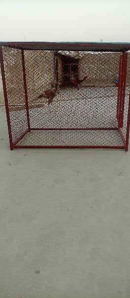 iron cage for sale 2