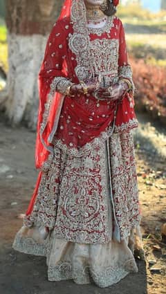 heavy bridal lehenga for urgent sale in reasonable price