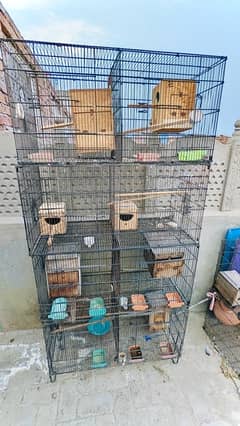 parrots cage for sale only 15500all ok