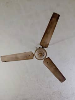 2 selling fans