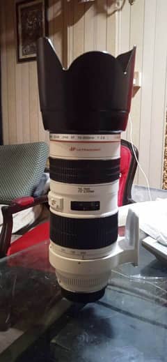 Canon 70-200 f/2.8 L