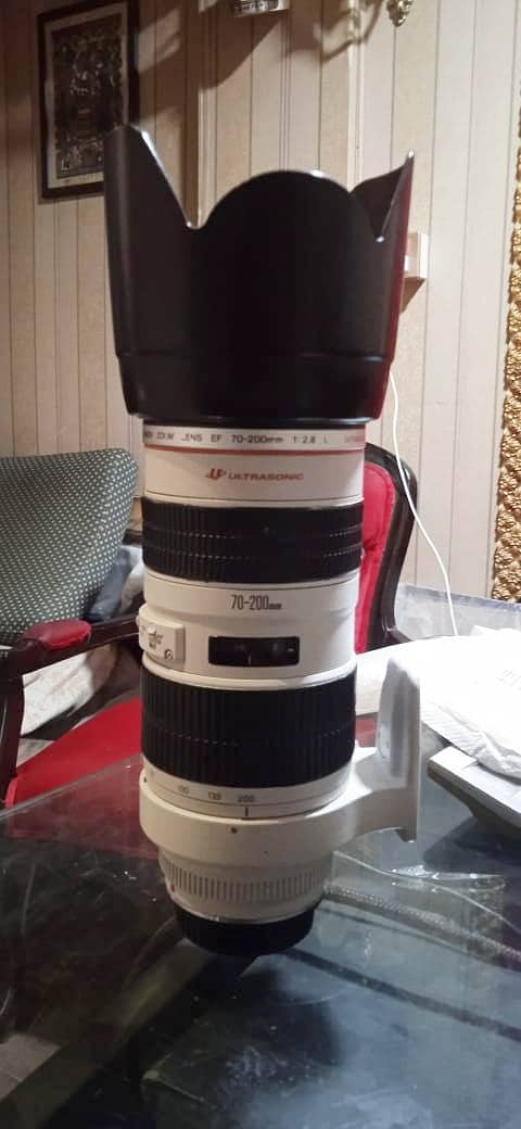 Canon 70-200 f/2.8 L 2