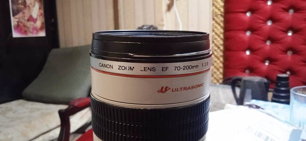 Canon 70-200 f/2.8 L 3