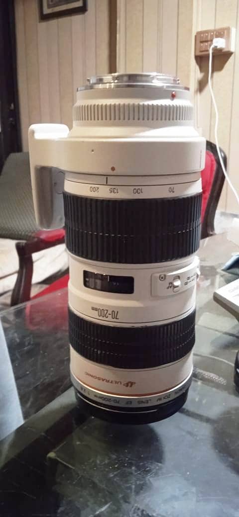 Canon 70-200 f/2.8 L 6