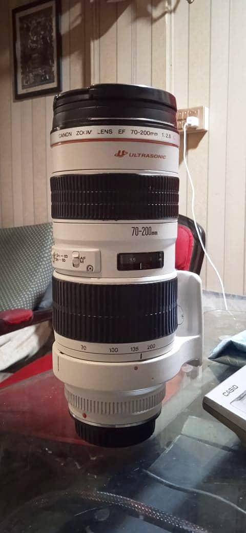 Canon 70-200 f/2.8 L 8