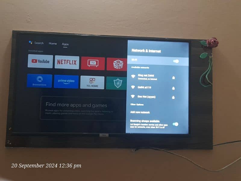 TCL Smart Led 1