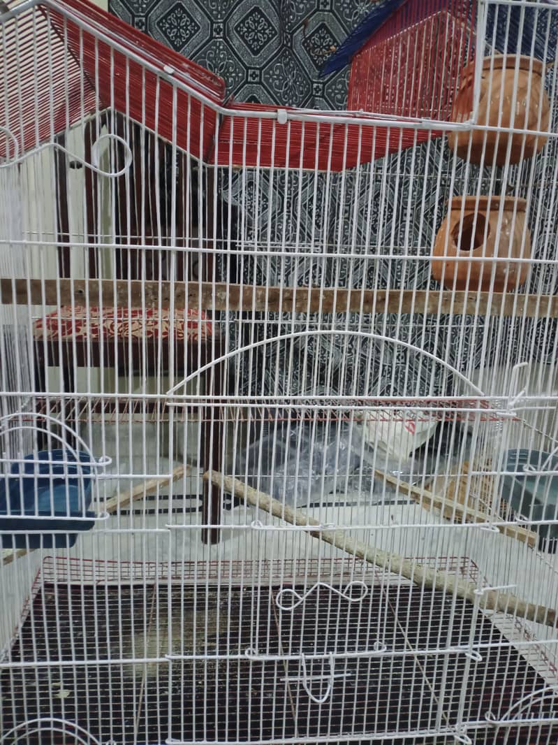 Big size cage for parrots 3