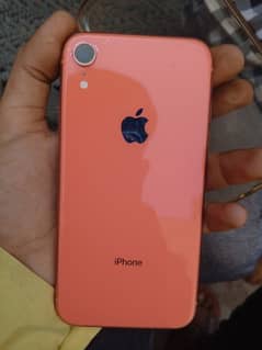 iPhone XR non pta