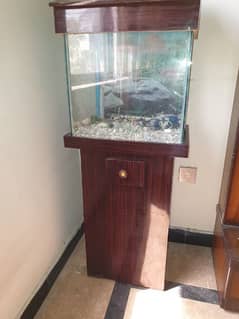 Fish tank aquarium