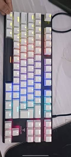 Urgent!! Akira Avalon Gaming Keyboard