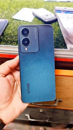 Vivo