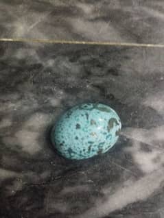 Natural Feroza turquoise with Gold lines