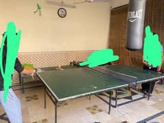 Tennis Table for sale