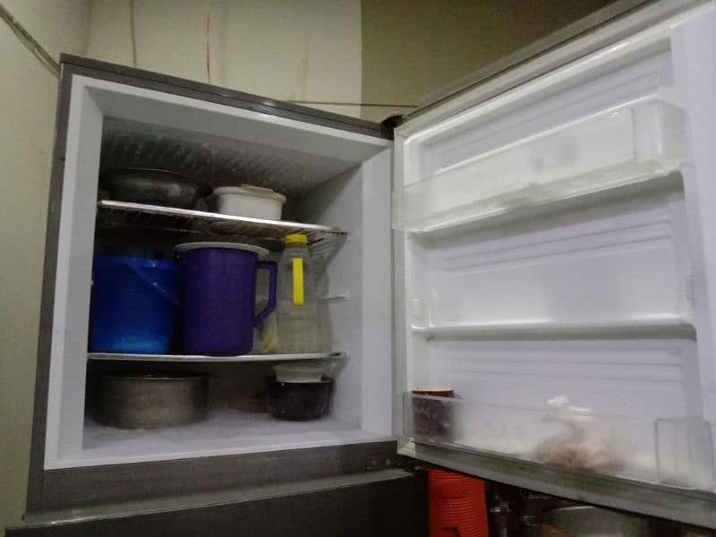 PEL Refrigerator 1