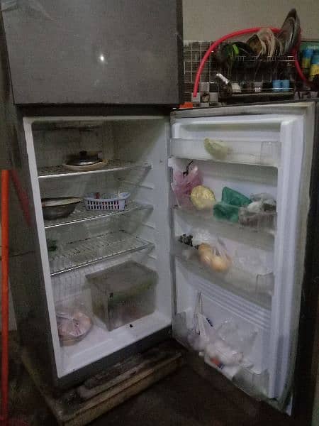 PEL Refrigerator 2