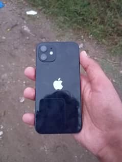 I phone 12