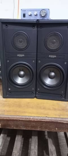 pioneer Tower speaker