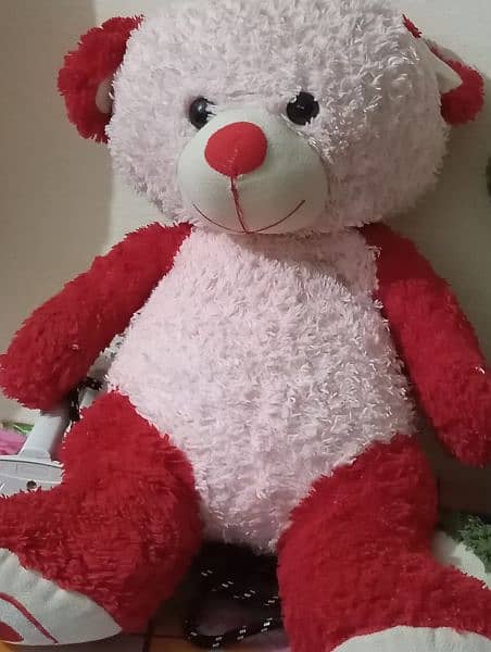 Red teddy bear 4