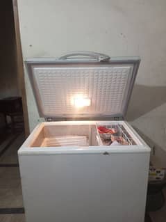 Freezer For sale