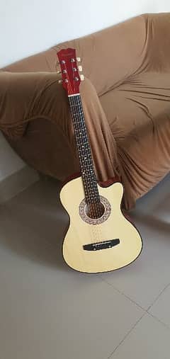 casme guitar