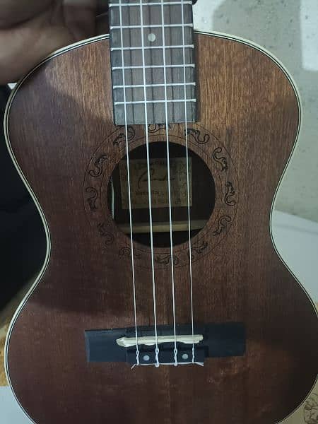 Ukulele Electric with Bag 4